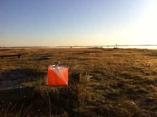 Falsterbo